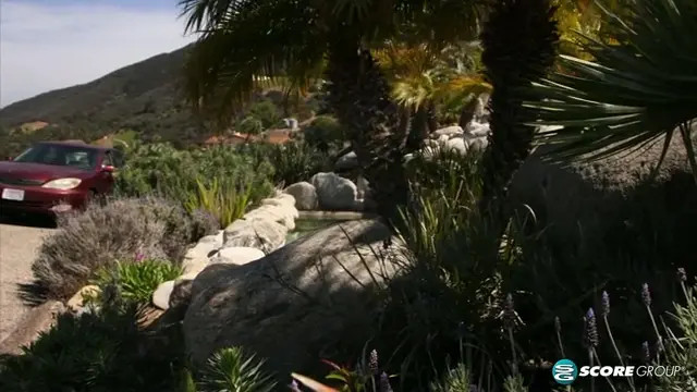 Zoe Bloom - Flat Teen Zoe Bloom Catches A Ride To Pound-Town And A Load On Her Face - Watch Latest Porn Video at ePornHome.com for Free.