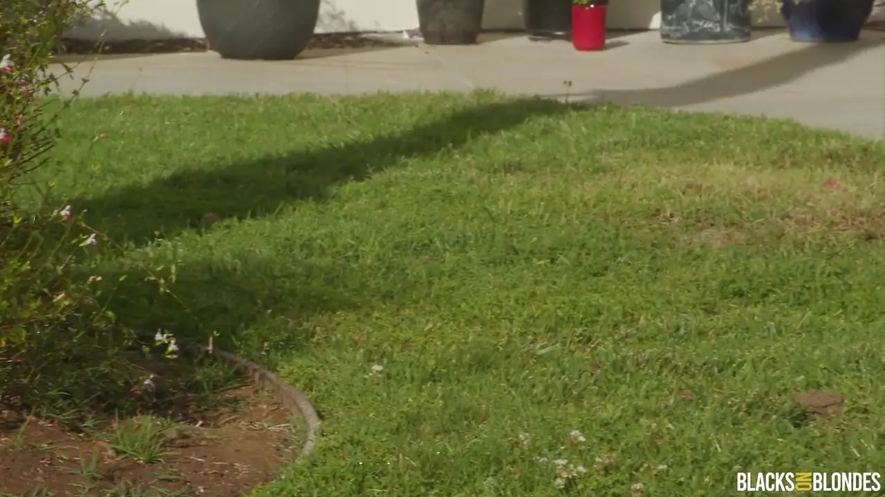 Gypsy Rose - This Pussy Needs Some Privacy 21 11 2025 - Watch Latest Porn Video at ePornHome.com for Free.